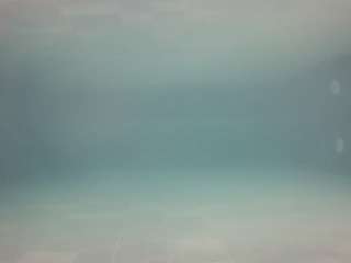 voyeurcam casa salsa pool 1